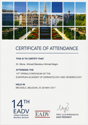 Certificate of attendance for the 14th Spring Symposium of the European Academy of Dermatology and Venereology, held in Brussels, Belgium, from 25 to 28 May 2017.