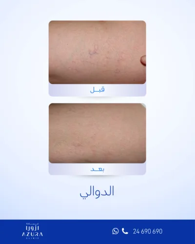 صورة المعرض