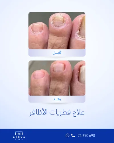 صورة المعرض